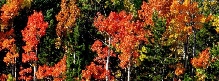 fall activities in Colorado Rockies